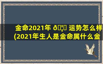 金命2021年 🦉 运势怎么样(2021年生人是金命属什么金)